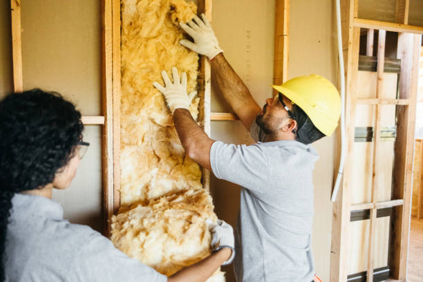 Best Insulation Contractors for Homes  in White Hall, WV