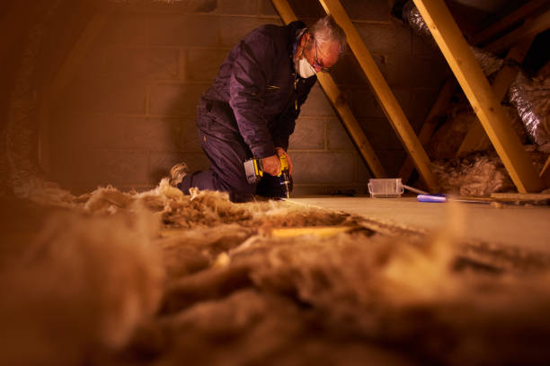 Best Insulation Repair Services  in White Hall, WV